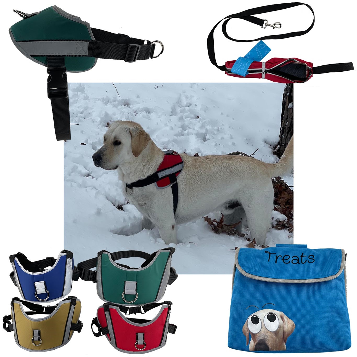 Leashes & Collars